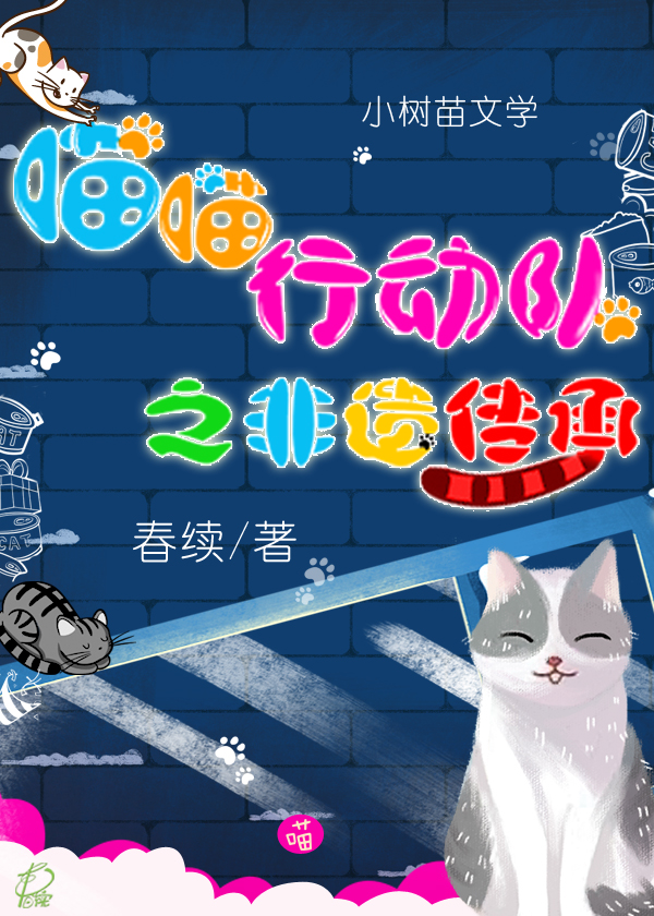 喵喵行动队之非遗传承