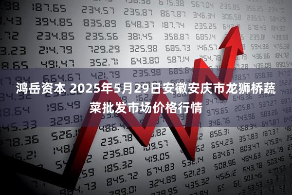 鸿岳资本 2025年5月29日安徽安庆市龙狮桥蔬菜批发市场价格行情