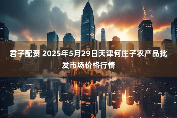 君子配资 2025年5月29日天津何庄子农产品批发市场价格行情