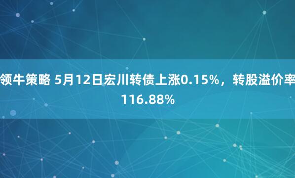 领牛策略 5月12日宏川转债上涨0.15%，转股溢价率116.88%