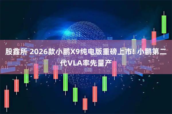 股鑫所 2026款小鹏X9纯电版重磅上市! 小鹏第二代VLA率先量产